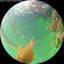./images/calvert/underwater/20260711/underwater20260711_133501M.jpg