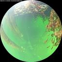 ./images/calvert/underwater/20260711/underwater20260711_134501M.jpg