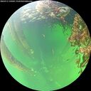 ./images/calvert/underwater/20260711/underwater20260711_135002M.jpg