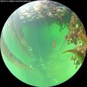 ./images/calvert/underwater/20260711/underwater20260711_140001M.jpg