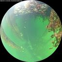 ./images/calvert/underwater/20260711/underwater20260711_141501M.jpg