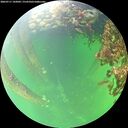 ./images/calvert/underwater/20260711/underwater20260711_142001M.jpg