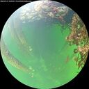 ./images/calvert/underwater/20260711/underwater20260711_142501M.jpg