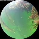 ./images/calvert/underwater/20260711/underwater20260711_143001M.jpg