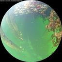 ./images/calvert/underwater/20260711/underwater20260711_144501M.jpg