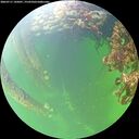 ./images/calvert/underwater/20260711/underwater20260711_145001M.jpg