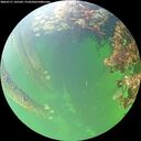 ./images/calvert/underwater/20260711/underwater20260711_145502M.jpg