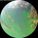 ./images/calvert/underwater/20260711/underwater20260711_150002M.jpg
