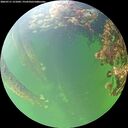 ./images/calvert/underwater/20260711/underwater20260711_151001M.jpg