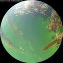 ./images/calvert/underwater/20260711/underwater20260711_151502M.jpg