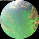 ./images/calvert/underwater/20260711/underwater20260711_152501M.jpg