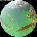 ./images/calvert/underwater/20260711/underwater20260711_153001M.jpg