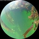 ./images/calvert/underwater/20260711/underwater20260711_155002M.jpg