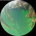 ./images/calvert/underwater/20260711/underwater20260711_180001M.jpg