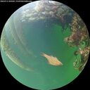 ./images/calvert/underwater/20260711/underwater20260711_205002M.jpg