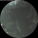 ./images/calvert/underwater/20260712/underwater20260712_050501M.jpg