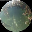 ./images/calvert/underwater/20260712/underwater20260712_054501M.jpg
