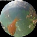 ./images/calvert/underwater/20260712/underwater20260712_060002M.jpg