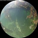 ./images/calvert/underwater/20260712/underwater20260712_060501M.jpg