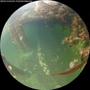 ./images/calvert/underwater/20260712/underwater20260712_061501M.jpg