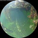 ./images/calvert/underwater/20260712/underwater20260712_064501M.jpg