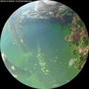 ./images/calvert/underwater/20260712/underwater20260712_065001M.jpg