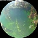./images/calvert/underwater/20260712/underwater20260712_065501M.jpg