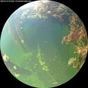 ./images/calvert/underwater/20260712/underwater20260712_071001M.jpg