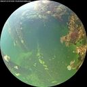 ./images/calvert/underwater/20260712/underwater20260712_071502M.jpg