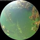 ./images/calvert/underwater/20260712/underwater20260712_072501M.jpg