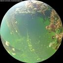 ./images/calvert/underwater/20260712/underwater20260712_073501M.jpg