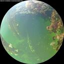 ./images/calvert/underwater/20260712/underwater20260712_080001M.jpg