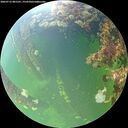 ./images/calvert/underwater/20260712/underwater20260712_081501M.jpg