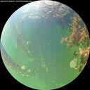 ./images/calvert/underwater/20260712/underwater20260712_085001M.jpg