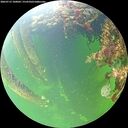 ./images/calvert/underwater/20260712/underwater20260712_100002M.jpg