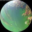 ./images/calvert/underwater/20260712/underwater20260712_102001M.jpg