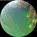./images/calvert/underwater/20260712/underwater20260712_102501M.jpg