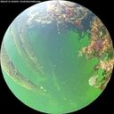./images/calvert/underwater/20260712/underwater20260712_104501M.jpg