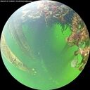 ./images/calvert/underwater/20260712/underwater20260712_110001M.jpg