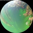 ./images/calvert/underwater/20260712/underwater20260712_112001M.jpg