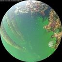 ./images/calvert/underwater/20260712/underwater20260712_115001M.jpg