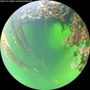 ./images/calvert/underwater/20260712/underwater20260712_120001M.jpg