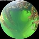./images/calvert/underwater/20260712/underwater20260712_120501M.jpg