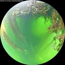 ./images/calvert/underwater/20260712/underwater20260712_121502M.jpg