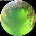 ./images/calvert/underwater/20260712/underwater20260712_124001M.jpg