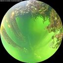 ./images/calvert/underwater/20260712/underwater20260712_124501M.jpg