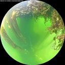 ./images/calvert/underwater/20260712/underwater20260712_125001M.jpg