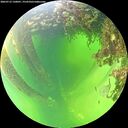 ./images/calvert/underwater/20260712/underwater20260712_130001M.jpg