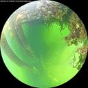 ./images/calvert/underwater/20260712/underwater20260712_132001M.jpg