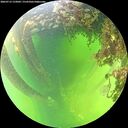 ./images/calvert/underwater/20260712/underwater20260712_133002M.jpg